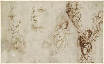 A Female Head for Borghese-Beckford St Catherine and Various Putti by Raffaello Sanzio Raphael